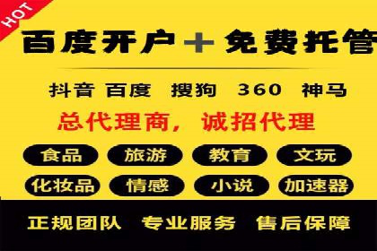 百度竞价策略解析：案例分析及优化建议